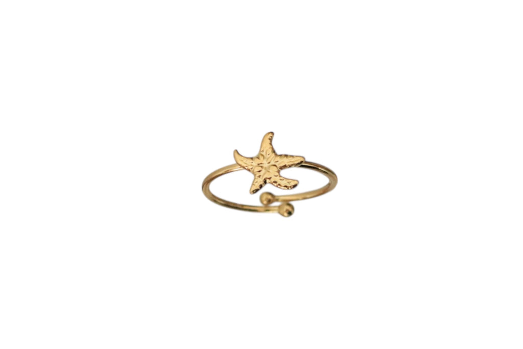 Anel Aurora